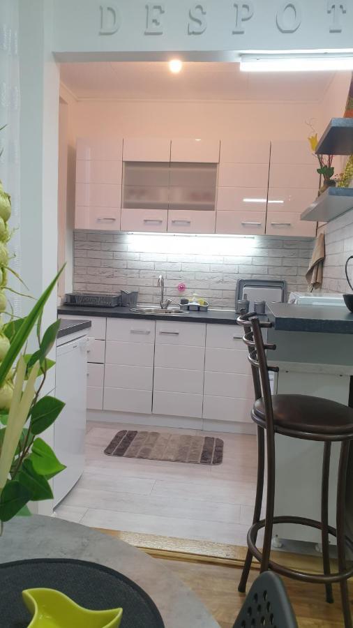Despot Apartmani Ni Dış mekan fotoğraf