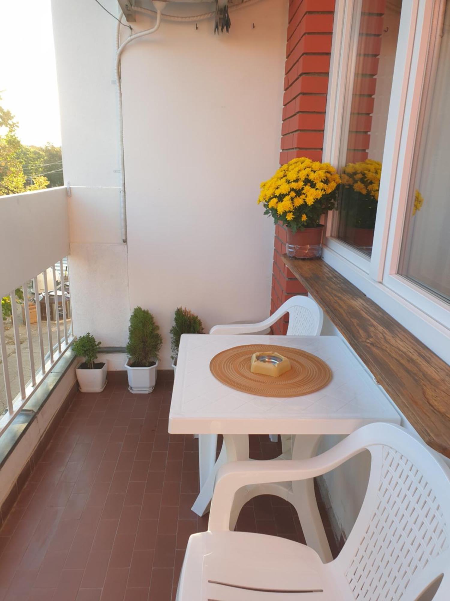 Despot Apartmani Ni Dış mekan fotoğraf